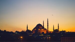 Viaggio a Istanbul: la città dei gatti - Bontur Viaggi